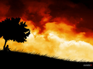 Person sitting tree field red - a red sky in the background free wallpaper
