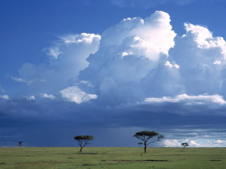 Large cloud field trees grass 3 - a large cloud free wallpaper