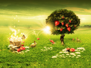 Tree basket strawberries field chickens 4 - a basket of strawberries free wallpaper