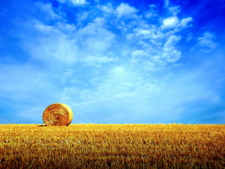 Hay bale field blue sky - single free wallpaper
