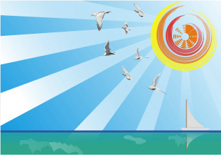 Birds flying water sun sailboat - a flock of birds free wallpaper