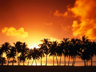 Sunset palm trees beach boat 2 - palm tree free wallpaper for desktop