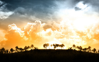 Sunset clouds trees yellow sky 2 - cloud and trees free wallpaper