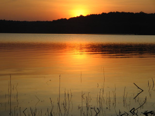 Sunset lake boat trees background 3 - the water and trees free wallpaper