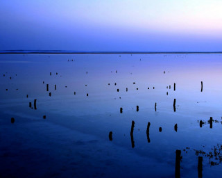 Water poles sky background serene - betye saar free wallpaper