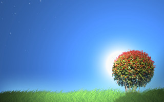 Tree grassy field bright sun 2 - star above free wallpaper
