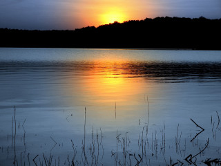 Sunset lake trees clouds sky 3 - lake free wallpaper
