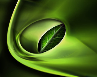 Green leaf green background green - a green swirl free wallpaper for desktop