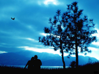 Couple sitting under tree evening 2 - digital photography free wallpaper