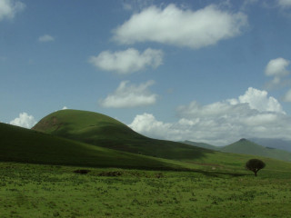 Lone tree green field mountains 4 - a lone tree free wallpaper