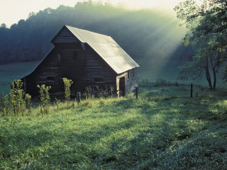 Barn field tree sunbeams grass 2 - a barn in a field free wallpaper