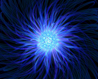 Blue flower black background bioluminescence 2 - a white center free wallpaper