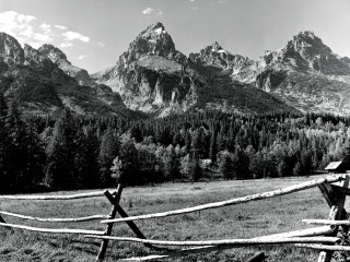 Wooden fence mountains trees blackwhite - the background and trees free wallpaper