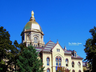 Large building gold dome clock 3 - elaine duillo free wallpaper
