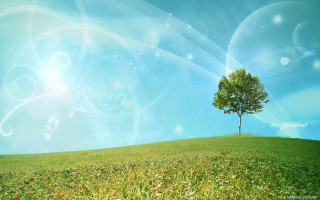 Tree hill blue sky swirly 2 - david brewster free wallpaper