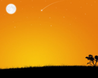 Person hill kite tree night - a tree in the foreground free wallpaper for desktop