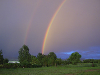 Double rainbow field grass trees 4 - double free wallpaper