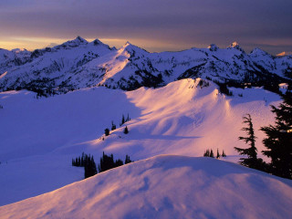 Snowy mountain trees sunset dawn - a snowy mountain free wallpaper