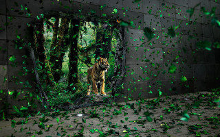 Tiger mirror green leaves confetti - surreal free wallpaper