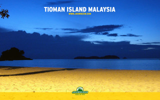 Beach tree blue sky message 4 - cinematic landscape free wallpaper