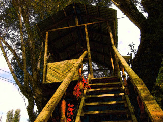 Wooden ladder structure woods trees - affandi free wallpaper