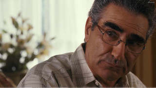 Man glasses looking distance plant - cinematography free wallpaper