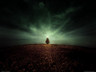 Lone tree field cloudy night - arthur sarkissian free wallpaper