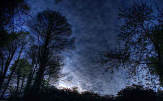 Blue sky clouds trees foreground 7 - wide angle len free wallpaper