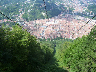 City sky view trees cable - cable wire free wallpaper