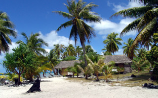 Beach palm trees hut ocean 4 - panoramic view free wallpaper