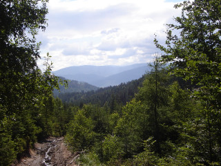 Dirt road trees mountains sky 3 - alen divi free wallpaper