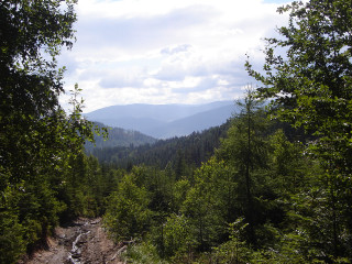 Dirt road trees mountains sky 2 - alen divi free wallpaper