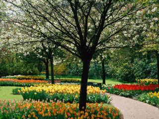 Park path flowers tree nature 4 - dirck de bray free wallpaper