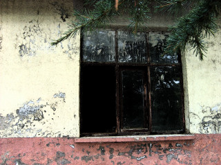 Window pine branch red wall 7 - danube school free wallpaper