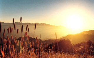 Field mountain sunset grass blowing - a mountain range in the background free wallpaper