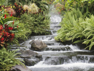 Stream lush vegetation flowers garden - a garden area free wallpaper