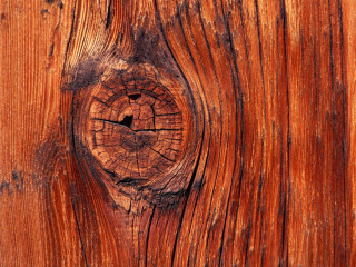 Wood texture hole middle photo 2 - a hole in the middle of it free wallpaper