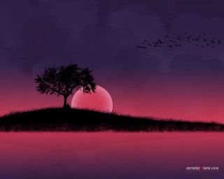 Tree hill sunset birds flying - a sunset in the background and birds free wallpaper
