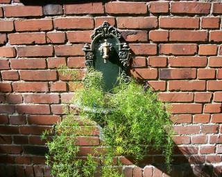 Brick wall water fountain plant 2 - betye saar free wallpaper