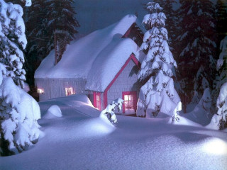 House snow trees nighttime lights - evgeny lushpin free wallpaper