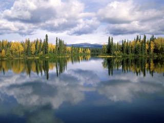 Lake trees clouds forest yellow - yellow leaf free wallpaper