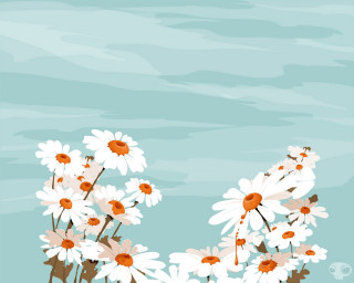 Daisies vase table blue sky 2 - a bunch of daisies free wallpaper