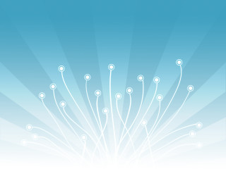 Blue background white flowers sky 4 - white flower free wallpaper