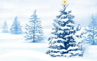 Christmas tree snow blue sky 2 - a star free wallpaper