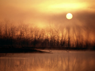 Water trees sun sky clouds 2 - a matte painting free wallpaper