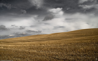 Wheat field cloudy sky lone - chris friel free wallpaper