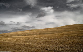 Wheat field cloudy sky lone 2 - chris friel free wallpaper