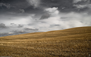 Wheat field cloudy sky lone 3 - chris friel free wallpaper