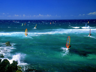 Windsurfing group sailboats water action - sailboat free wallpaper