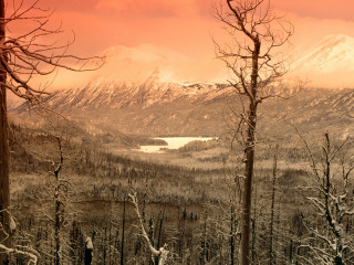 Snowy mountain lake trees red 4 - carl hoppe free wallpaper
